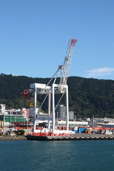 Porto de Wellington — Fotografia de Stock