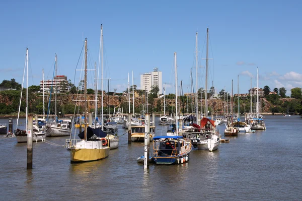 Brisbane marina — Stockfoto