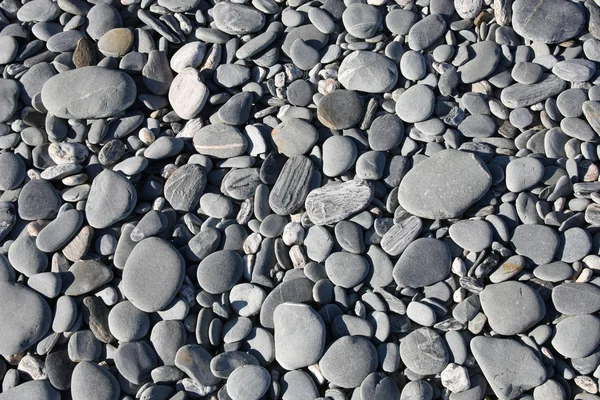 小石のテクスチャ — ストック写真