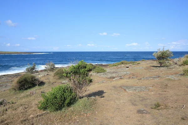 Australien Kioloa Der Nähe Des Murramarang Nationalparks Schöne Meeresküste — Stockfoto