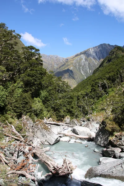 Νέα Ζηλανδία Βουνά Επίδοξους Εθνικό Πάρκο Όρους — Φωτογραφία Αρχείου