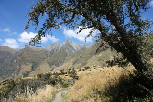 ニュージーランド マウント アスパイア リング国立公園の山 — ストック写真