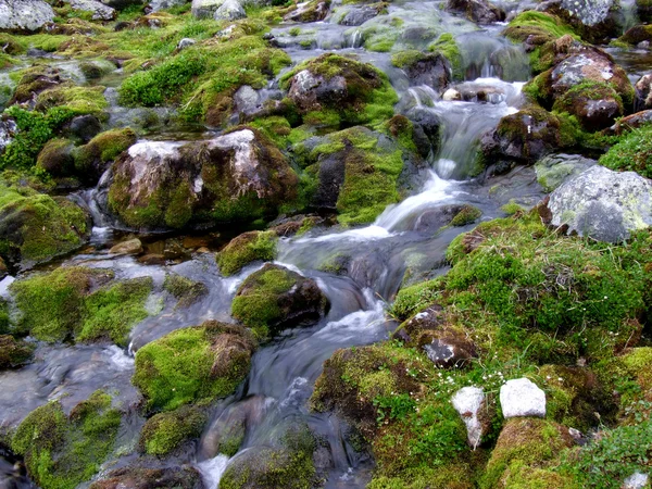 Малий гірський потік тече — стокове фото