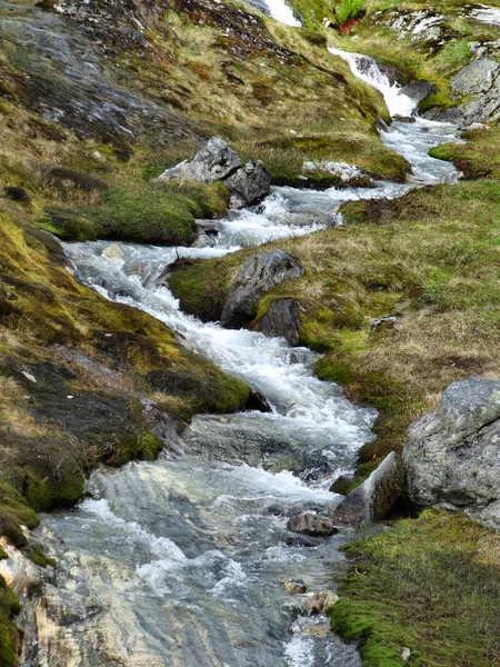 Pequeno riacho ou ribeiro na Noruega — Fotografia de Stock