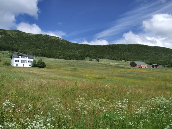 Bir çayır üzerinde iki ev — Stok fotoğraf