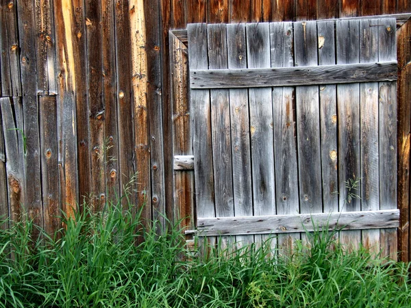 Old wooden door to a shed — Stock Photo, Image