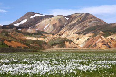 Iceland - Landmannalaugar clipart