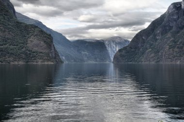 Aurlandsfjord - beautiful fiord landscape in Sogn og Fjordane region. clipart