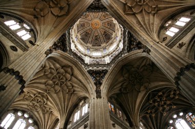 Salamanca cathedral clipart