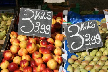 renkli meyve bakkal Market avila, castilia, İspanya