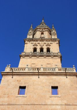 eski kule salamanca cathedral. güzel kumtaşı mimarisi. Romanesk tarzı.