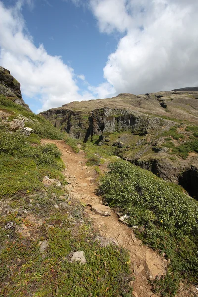 Hoogteweg Ijsland Hiking Voetpad Naast Glymur Canyon Mooi Landschap — Stockfoto