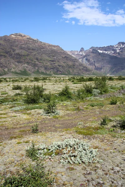 Bergen Och Glaciala Dalen Morsardalur Skaftafell Nationalpark Island Vackert Landskap — Stockfoto