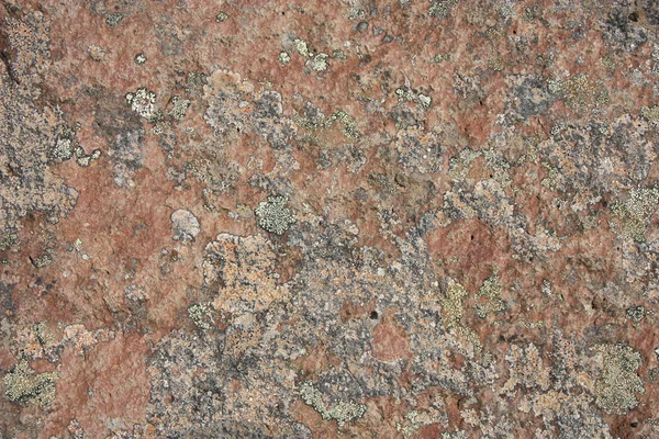 Lichene Colorato Una Roccia Islanda Texture Sfondo Naturale — Foto Stock