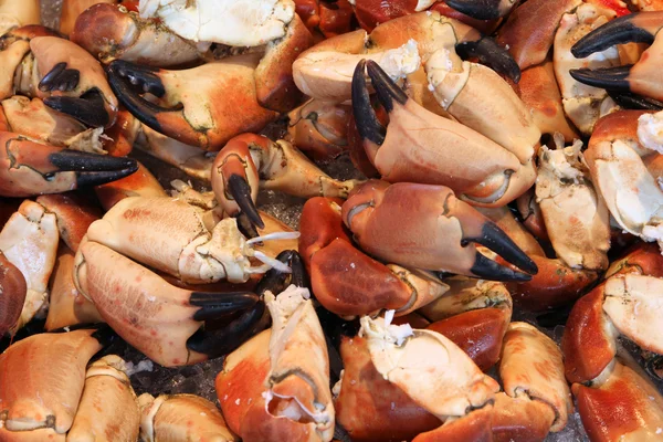 螃蟹在卑尔根 挪威著名的鱼市场 Fisketorget — 图库照片