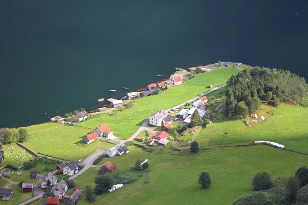 Naeroyfjord 노르웨이에서 유명한 유네스코 사이트 있으며 Fjordane 지역에서 피오르드 풍경입니다 — 스톡 사진