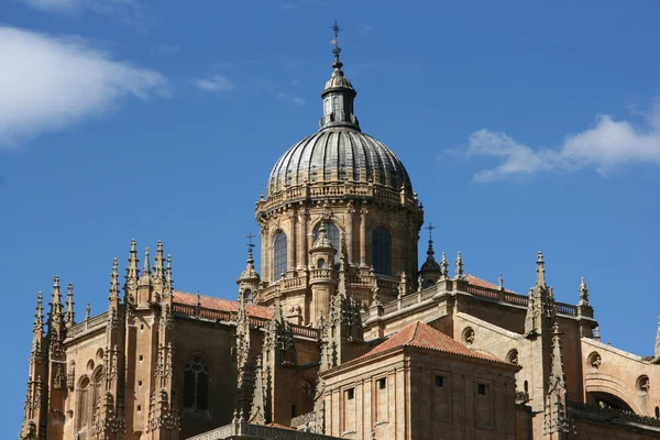 Cúpula Salamanca Nueva Catedral Hermosa Arquitectura Arenisca Estilos Góticos Barrocos —  Fotos de Stock