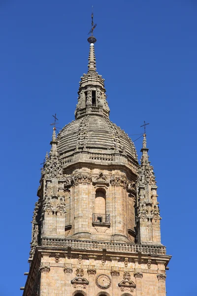 Cúpula Salamanca Antiga Catedral Bela Arquitetura Arenito Estilo Românico — Fotografia de Stock