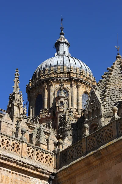 Kopuła Nowej Katedry Salamanka Piaskowiec Pięknej Architektury Gotyckie Barokowe Style — Zdjęcie stockowe