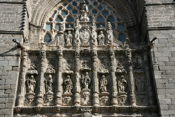 Bliska Szczegółowe Kwiecisty Rzeźby Ścianie Katedry Avila — Zdjęcie stockowe