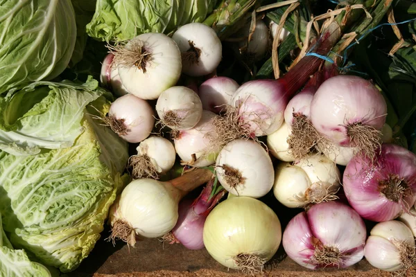 Stock image Green cabbage and red onion at a rural marketplace in Spain