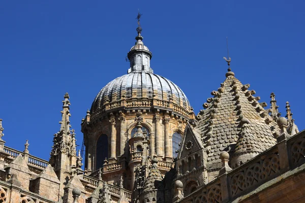 Catedral de Salamanca —  Fotos de Stock