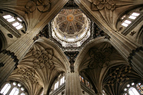 Salamanca cathedral — Stock Photo, Image