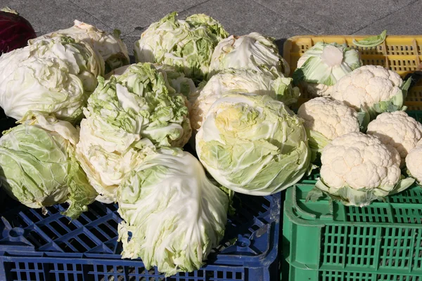 stock image Vegetables