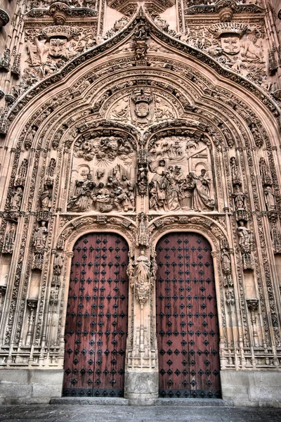 Kathedralentür in salamanca — Stockfoto