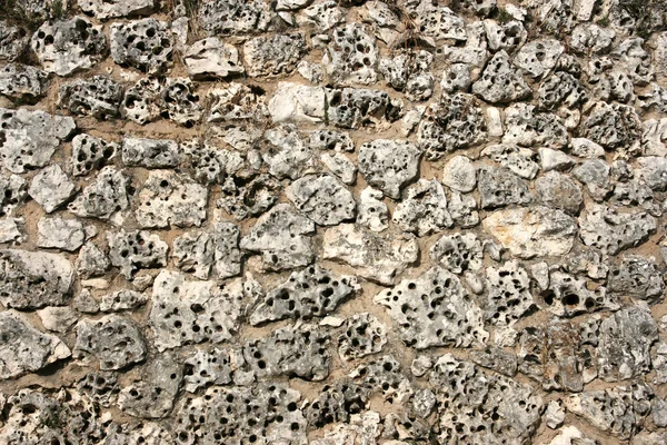 石灰岩の壁 — ストック写真