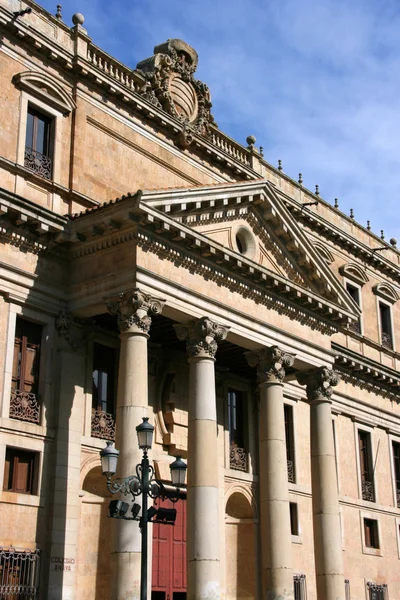 Palacio Anaya Onderdeel Van Salamanca Universiteit Spanje — Stockfoto