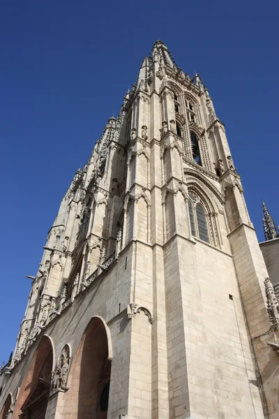 Burgos, İspanya — Stok fotoğraf