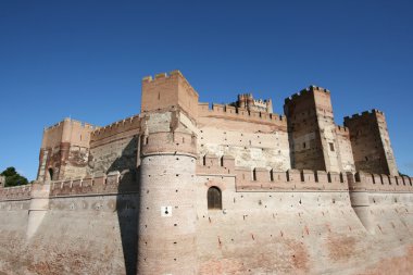 Castillo de la mota