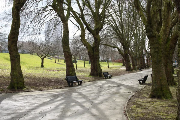 Birmingham park — Stok fotoğraf