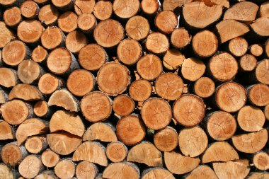 Stack of fresh firewood - interesting wooden abstract background. clipart