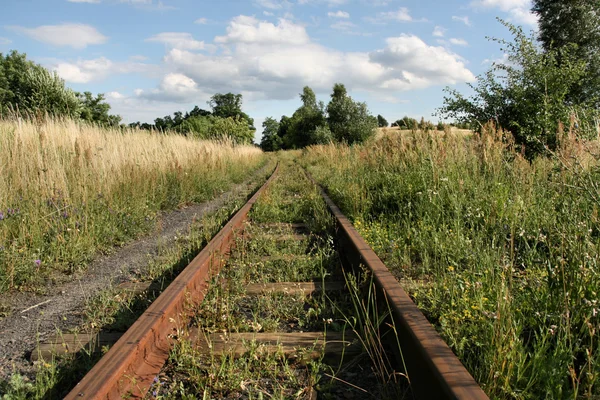 在波兰农村的被遗弃的窄轨铁路轨道 在欧洲的乡村景观 — 图库照片