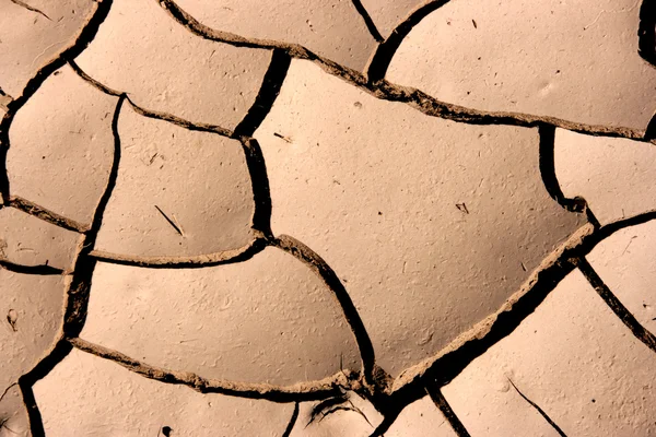 乾燥した気候で乾燥した土壌のクローズ アップ 砂漠のひびの入った地面 — ストック写真