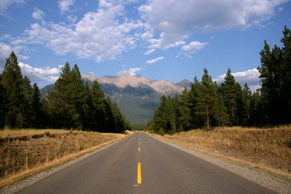 カナダの景観道路 — ストック写真