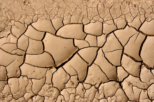 在干旱气候干燥土壤的特写 在沙漠中裂的地面 — 图库照片