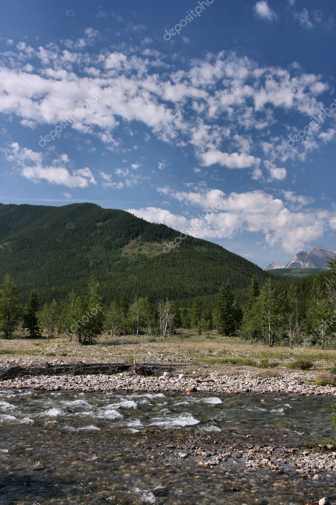 tupungato