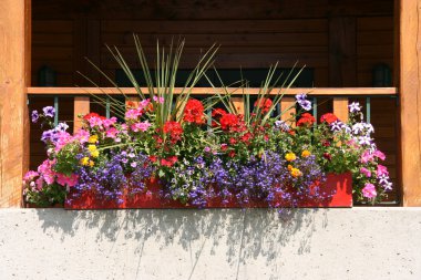 Beautiful flowers on a balcony of rural home clipart