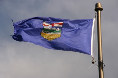 rüzgarda Kanada alberta eyaletinin bayrağı
