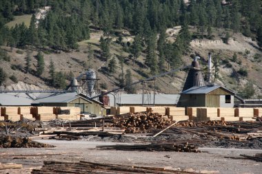 Yel değirmeninin kola ya da kereste fabrikası - Kanada'da ahşap işleme tesisi