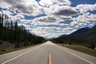 Straight scenic road in Kootenay National Park, Canada. Rocky Mountains landscape. clipart