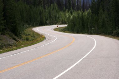 Winding road in Kootenay National Park, Canada. Emptiness. clipart