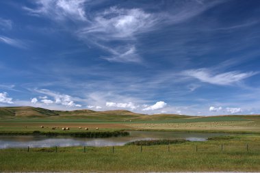 güzel çayır ve tarım Alberta, Kanada