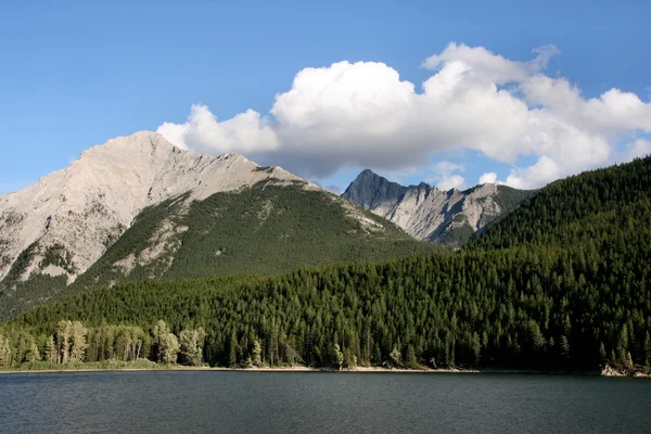 Kanadische Felsige Gebirgslandschaft Der Nähe Des Crowsnest Pass — Stockfoto