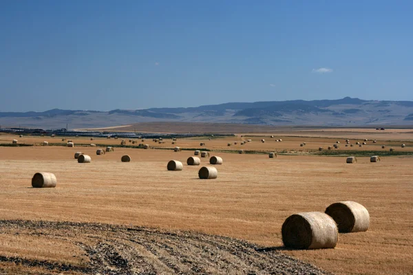 Landbouwgrond landschap — Stockfoto