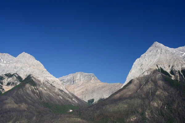 Yoho Nationalpark Von Kanada Bewaldetes Gebiet Mit Felsigen Bergen Mit — Stockfoto