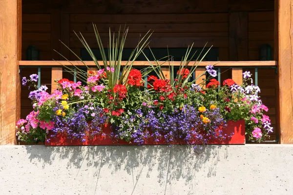 Όμορφα Λουλούδια Ένα Μπαλκόνι Του Αγροτικού Σπιτιού — Φωτογραφία Αρχείου